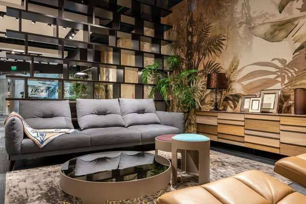 L'art du bonsaï en intérieur : guide pour débutants