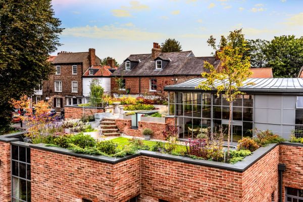 Transformez votre toit urbain en un jardin de fleurs sauvages florissant : techniques et conseils incontournables