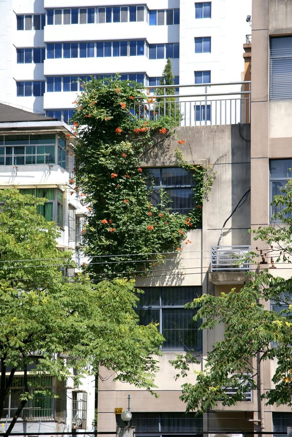 Comment réussir un aménagement écologique chez soi sans se ruiner